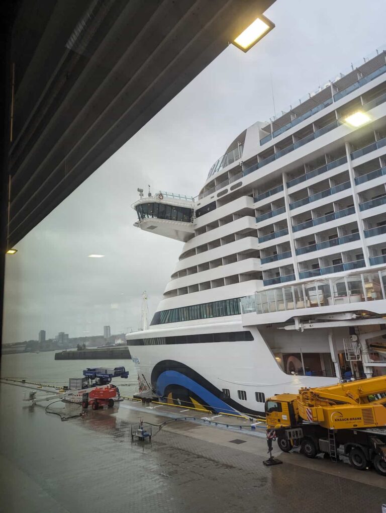 AIDA Perla im nebligen Hamburg Hafen